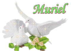 Prénom Muriel en signature animée