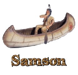 Prénom Samson en signature animée