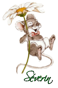 Prénom Severin en signature animée