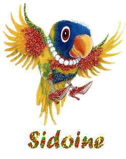 Prénom Sidoine en signature animée