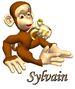 Prénom Sylvain en signature animée