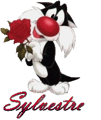 Prénom Sylvestre en signature animée