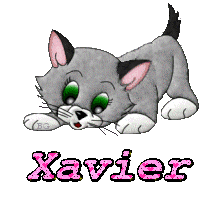Prénom Xavier en signature animée