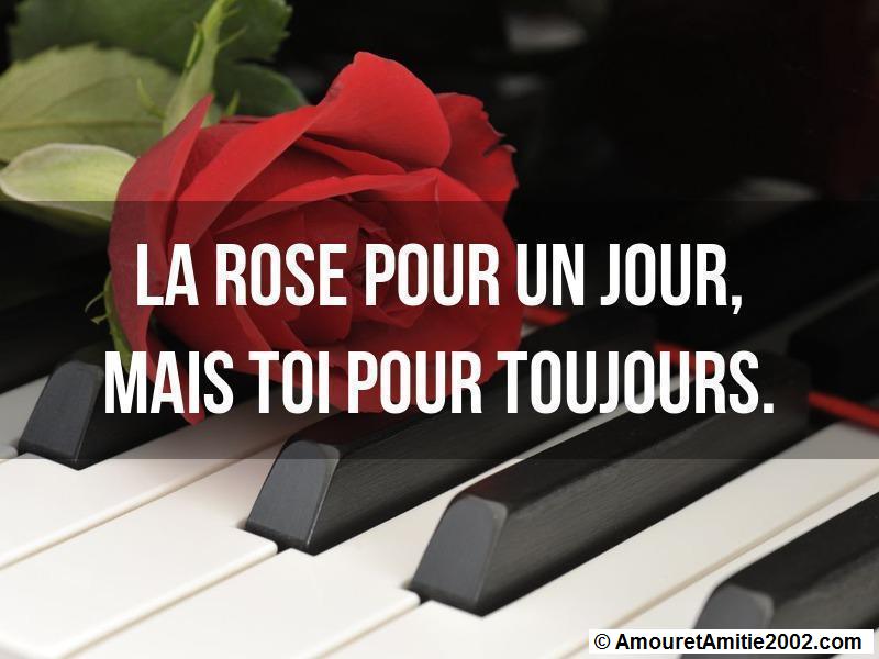 Citation Amour La Rose Pour Un Jour Mais Toi Pour Toujours