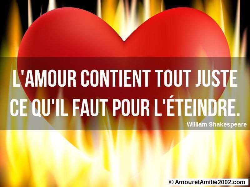 Citation Amour L Amour Contient Tout Juste Ce Qu Il Faut Pour L Eteindre