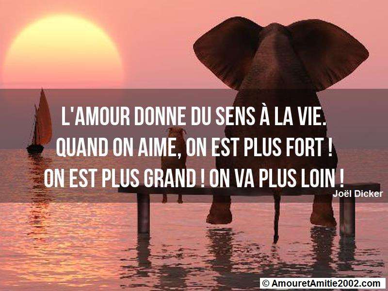 citation d'amour 163