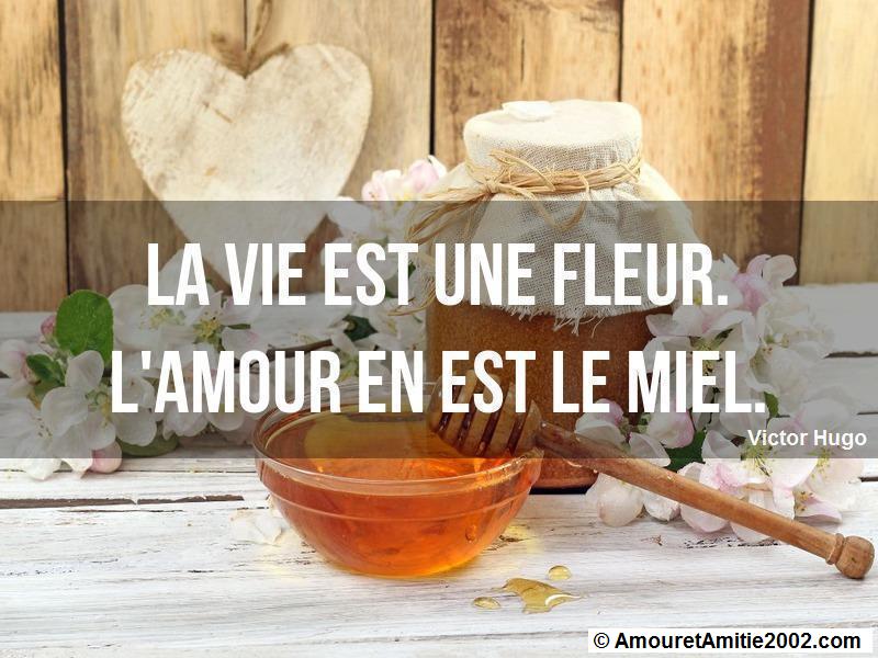 citation d'amour 190