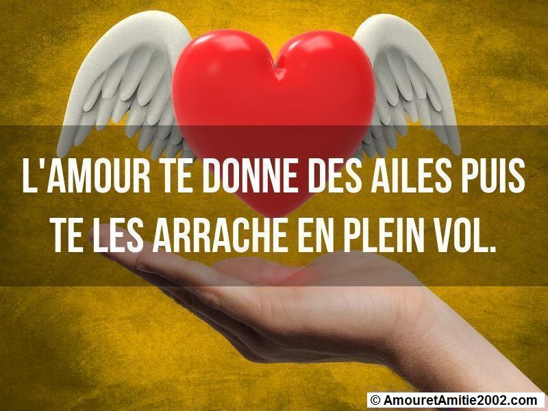 citation d'amour 212