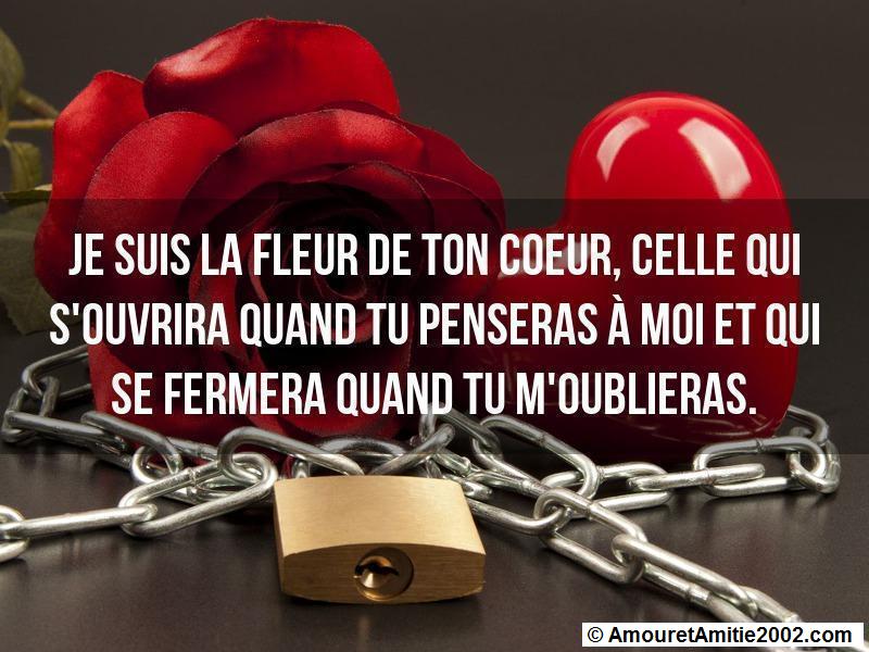 citation d'amour 23