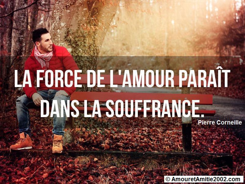 citation d'amour 234