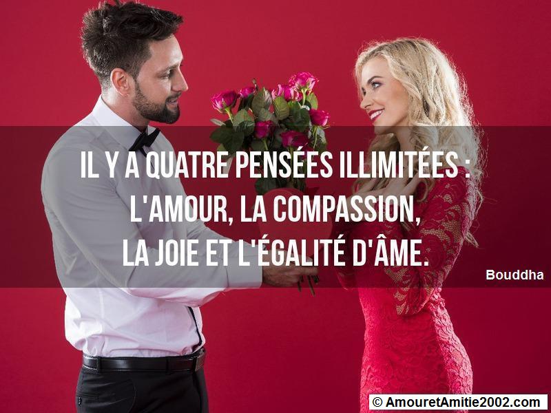 citation amour 264