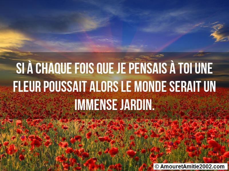 citation d'amour 27