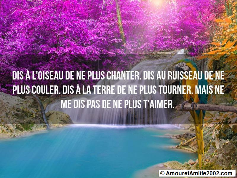 citation d'amour 28