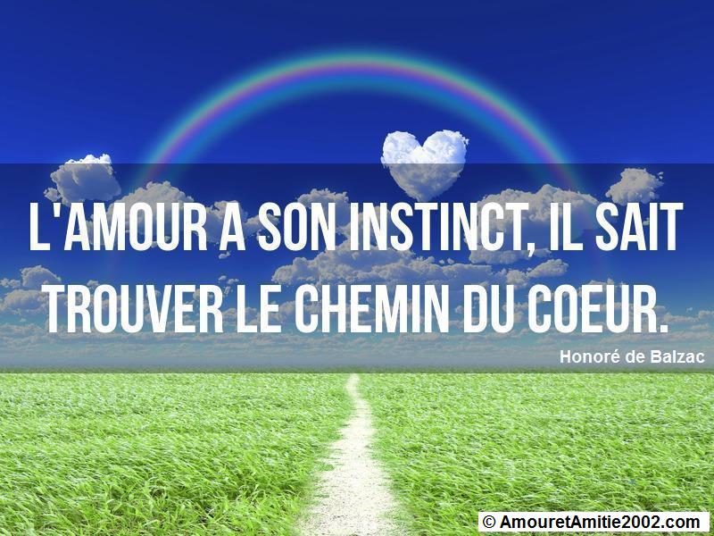 citation amour 293