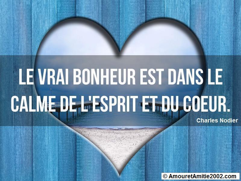 citation amour 310