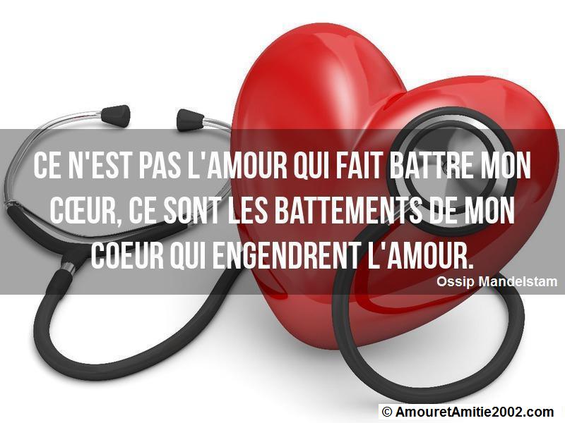 citation amour 333