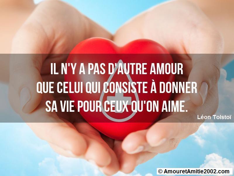 citation amour 347