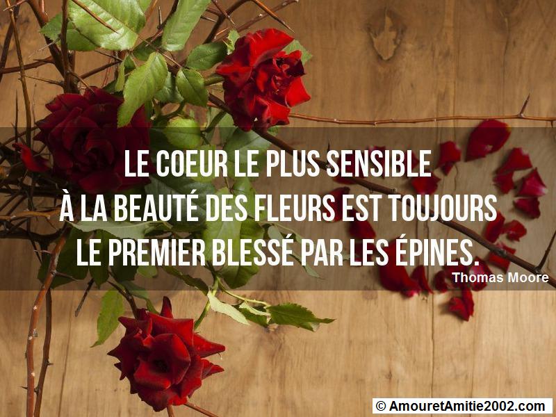 citation-d-amour-354.jpg