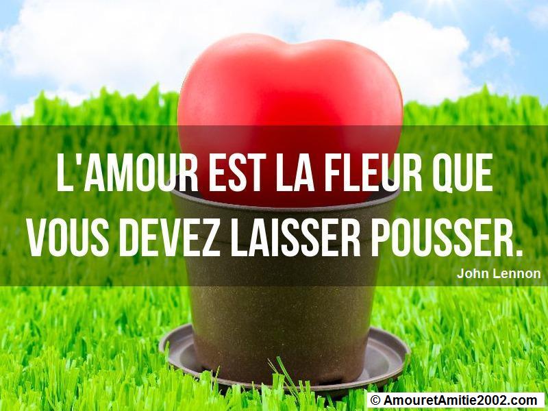 citation amour 356