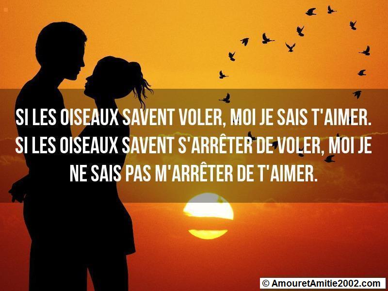 citation d'amour 41