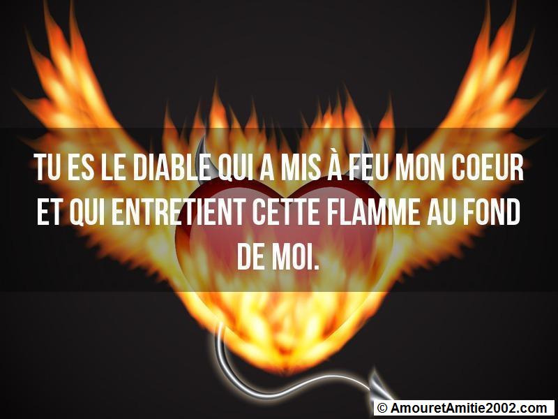 citation d'amour 44