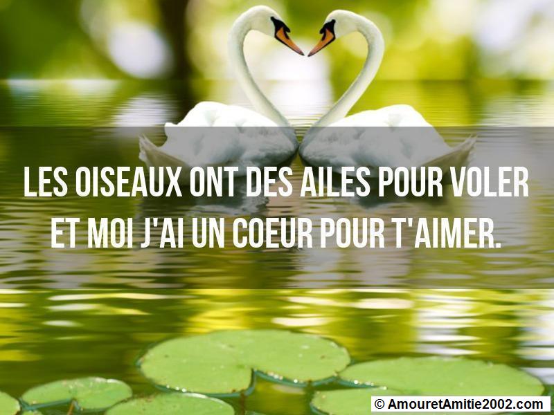 citation d'amour 5