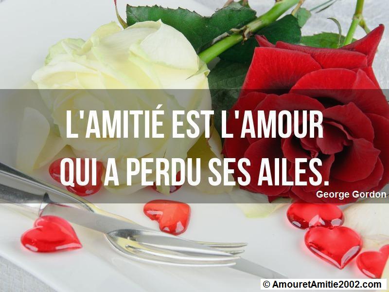 citation d'amour 97