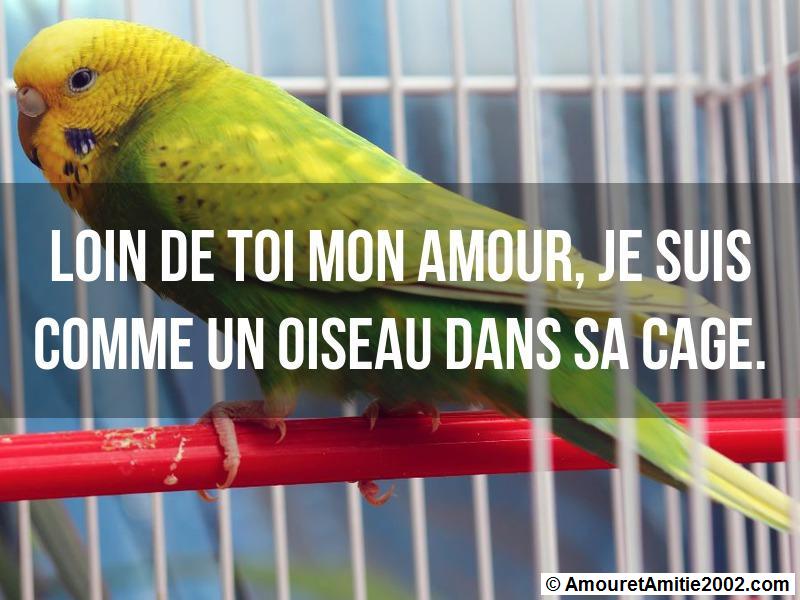 les messages d'amour 27