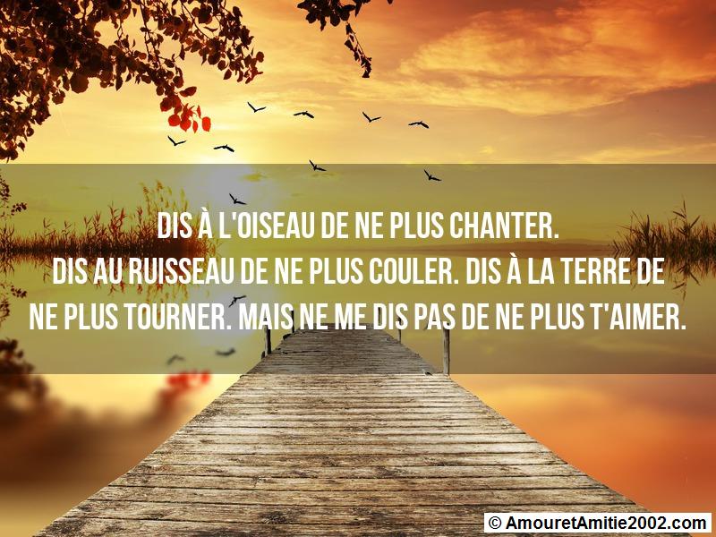 Message Amour Dis A L Oiseau De Ne Plus Chanter