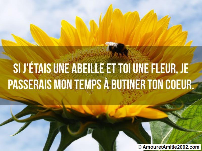 les mots d'amour 101