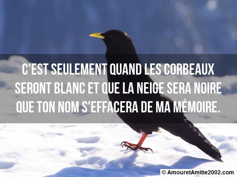 les mots d'amour 164