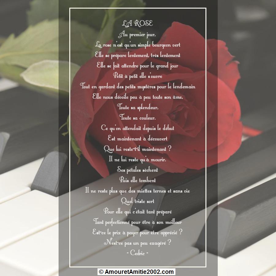 poeme la rose