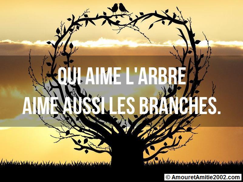 Proverbe Amour Qui Aime L Arbre Aime Aussi Les Branches